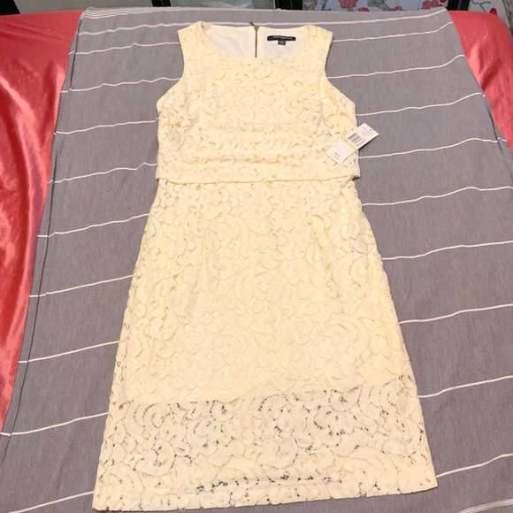NWT  Sharagano Cream Ivory Lace Blouson Sleeveless Dress w/ Lining sz 4 - Picture 1 of 3